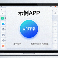 电脑端APP下载界面展示图